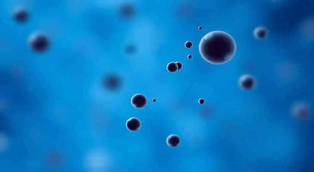 Anemia causada por deficiencia de vitamina B12