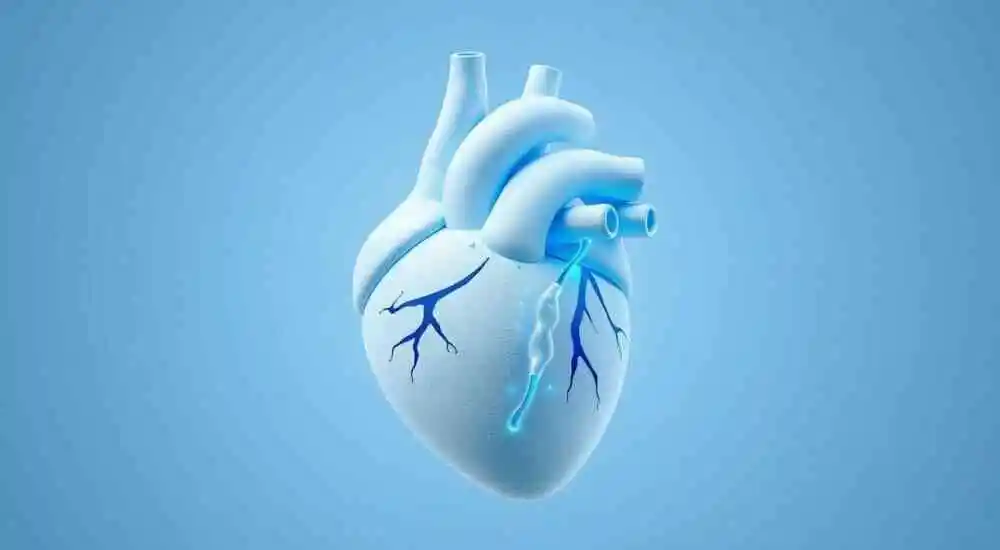 Takayasu's arteritis