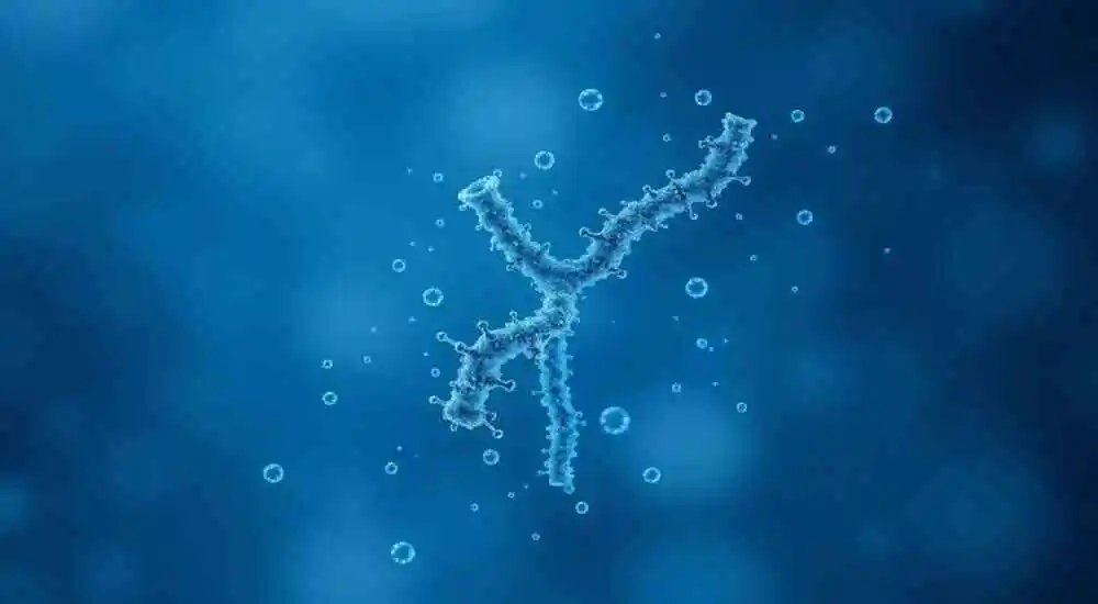 Y-chromosome infertility