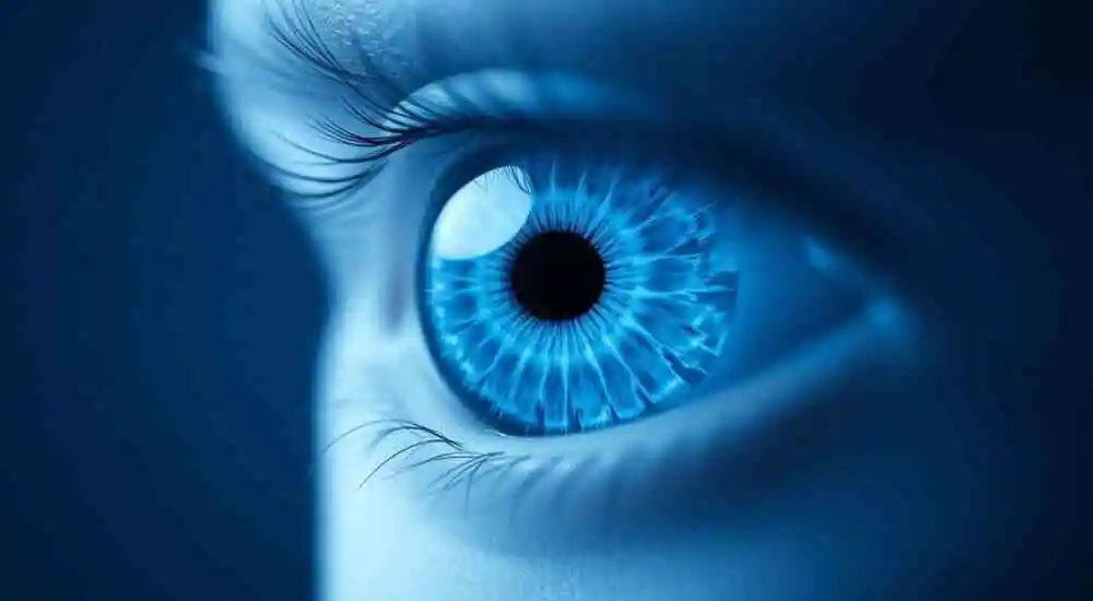 Displasia de retina ligada al cromosoma X