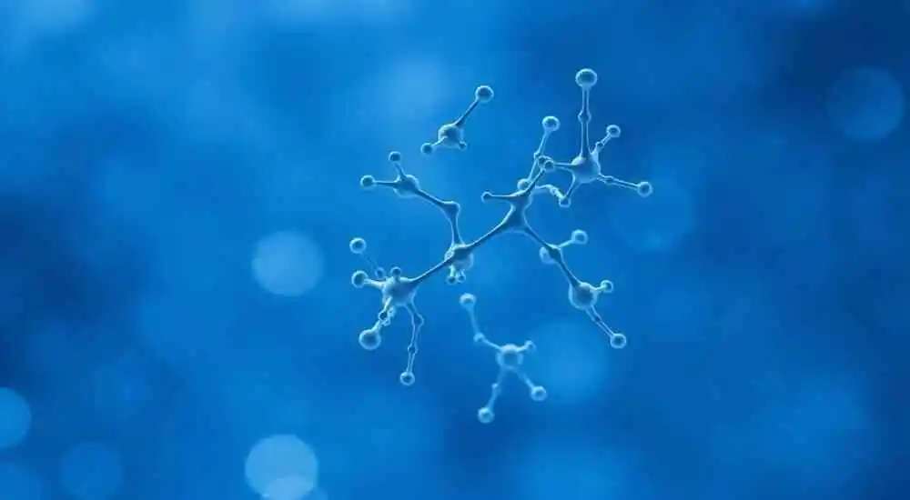 Trastorno linfoproliferativo ligado al cromosoma X