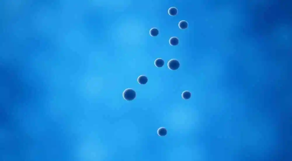 Thrombocytopenia and absent radius syndrome