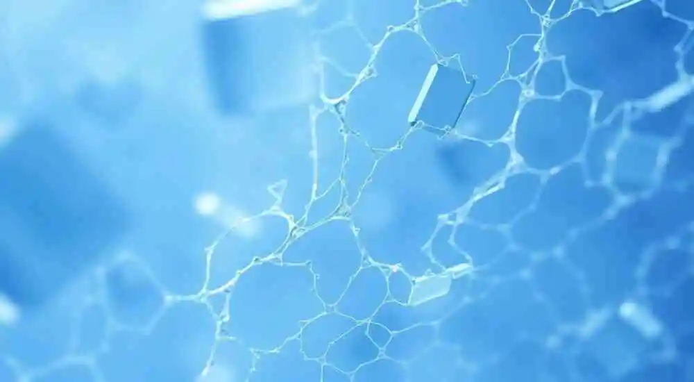 Esporotricosis