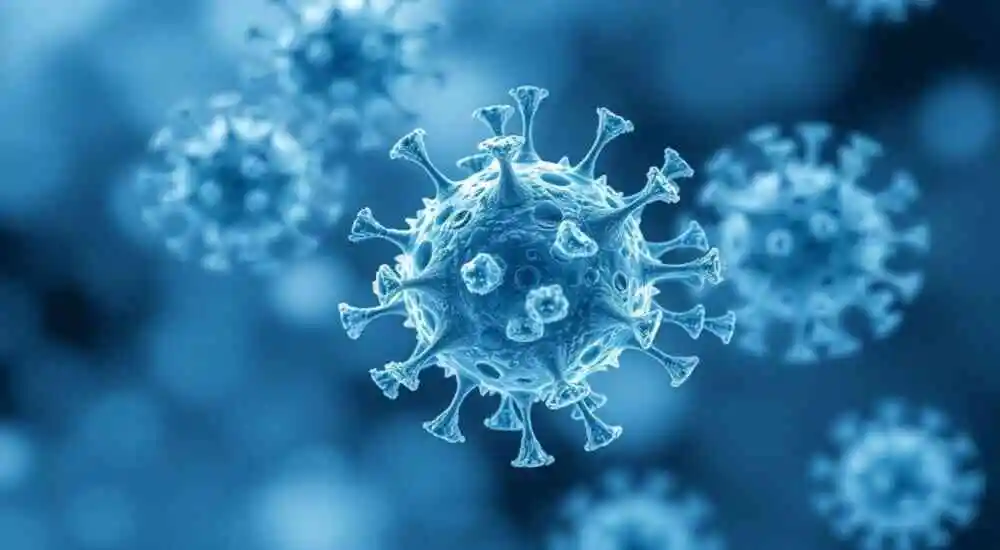 Inmunodeficiencia combinada grave asociada a ZAP70