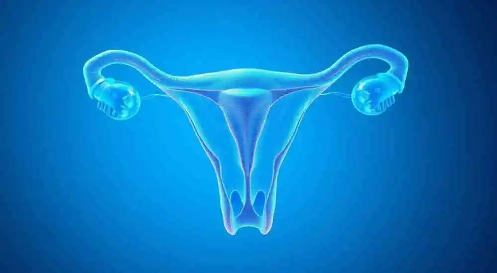 Vulvovaginitis