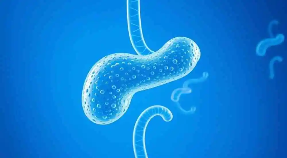 Pancreatic adenoma
