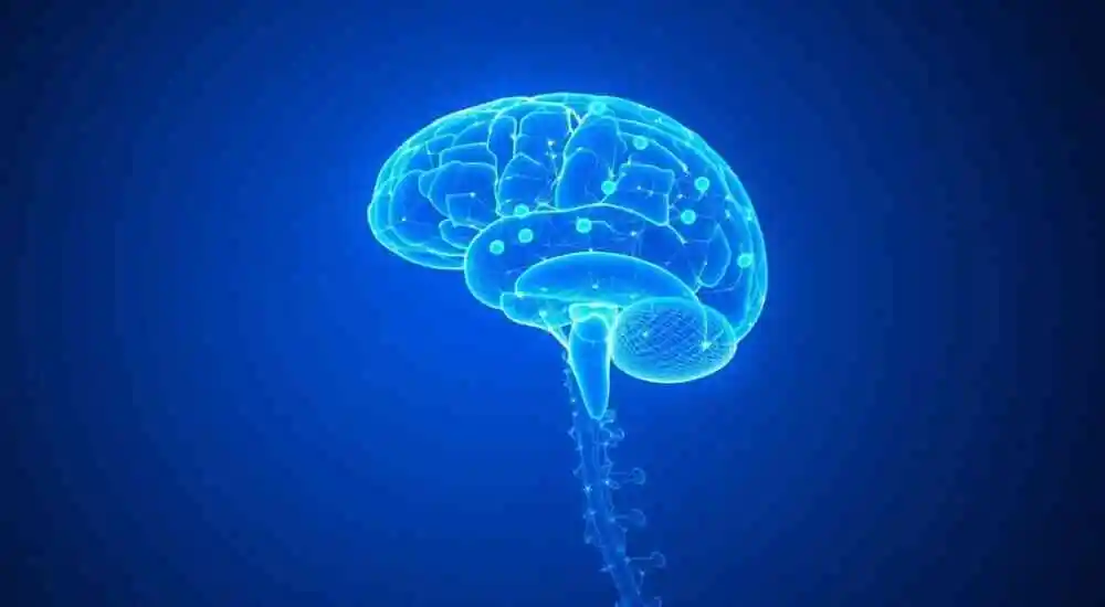 Epilepsia fotosensible