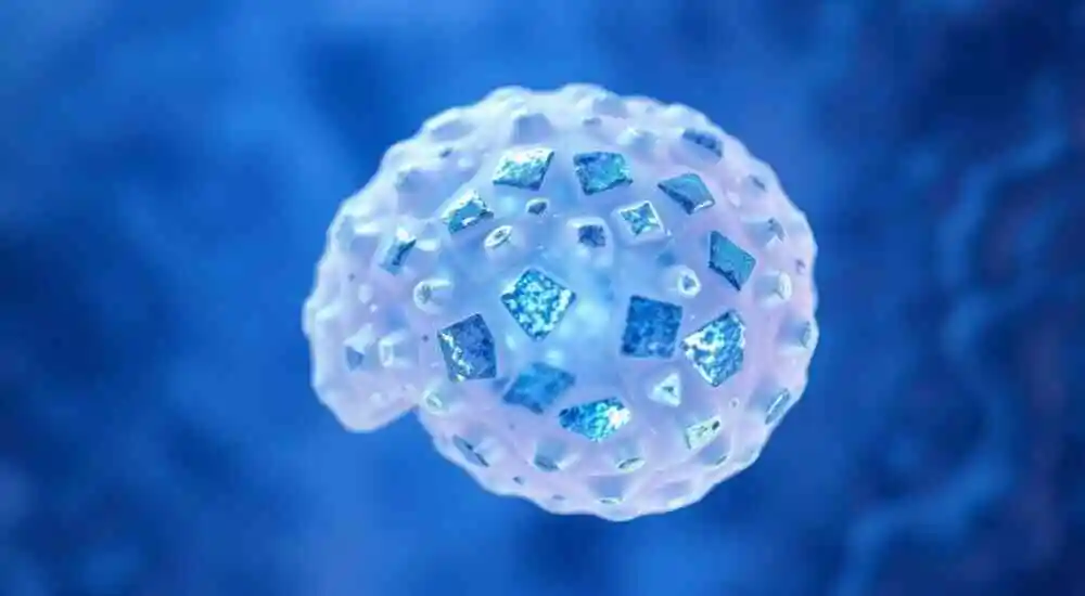 Pancreatic islet cell tumor