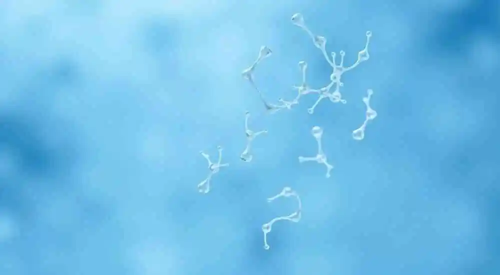 Paracoccidioidomicosis