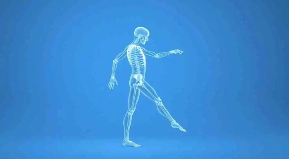 Periodic limb movement disorder