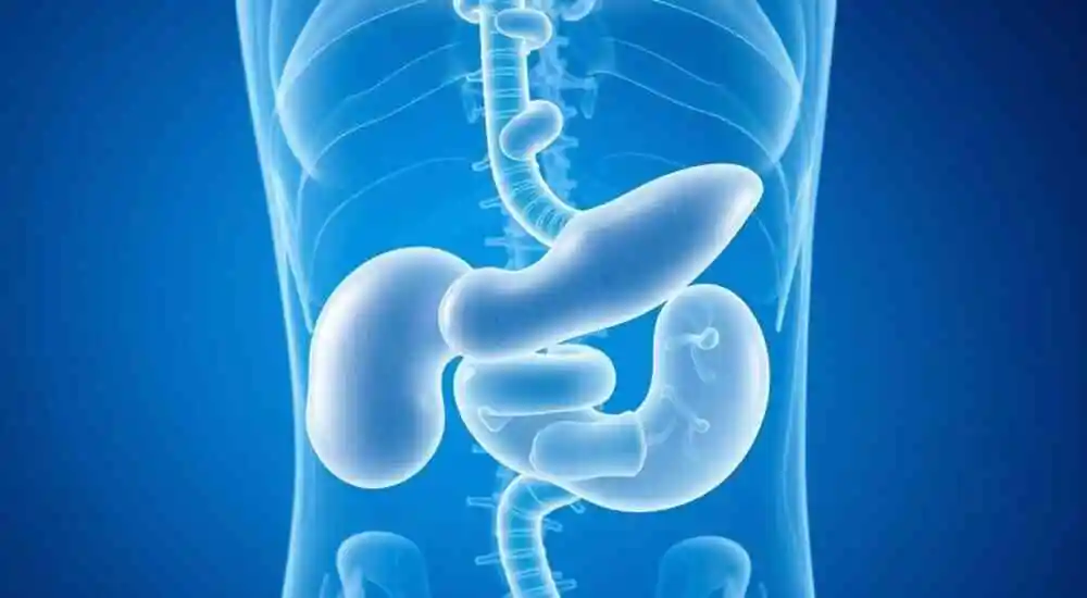 Progressive familial intrahepatic cholestasis, type 3