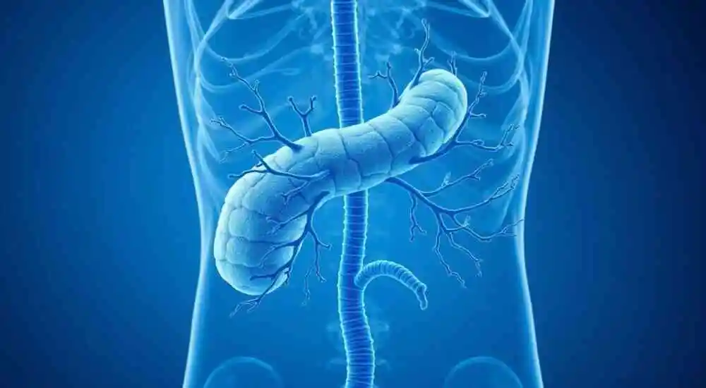 Pseudocyst of the pancreas
