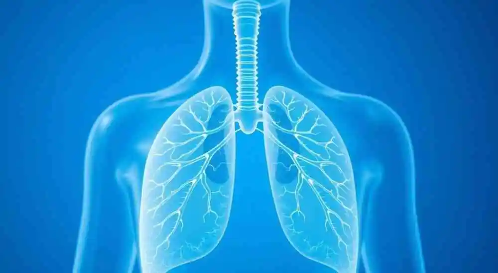 Renovascular hypertension