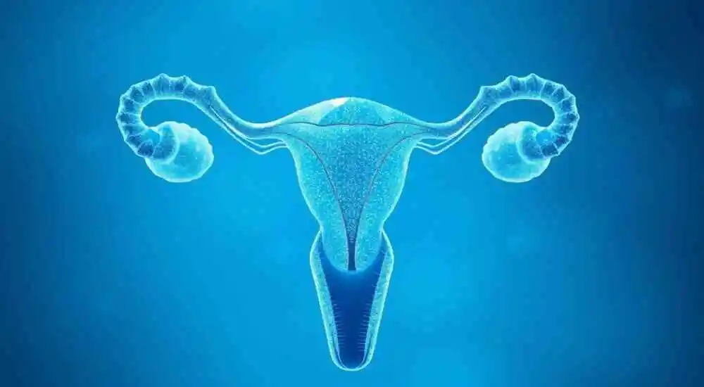 Ovarian hyperstimulation syndrome