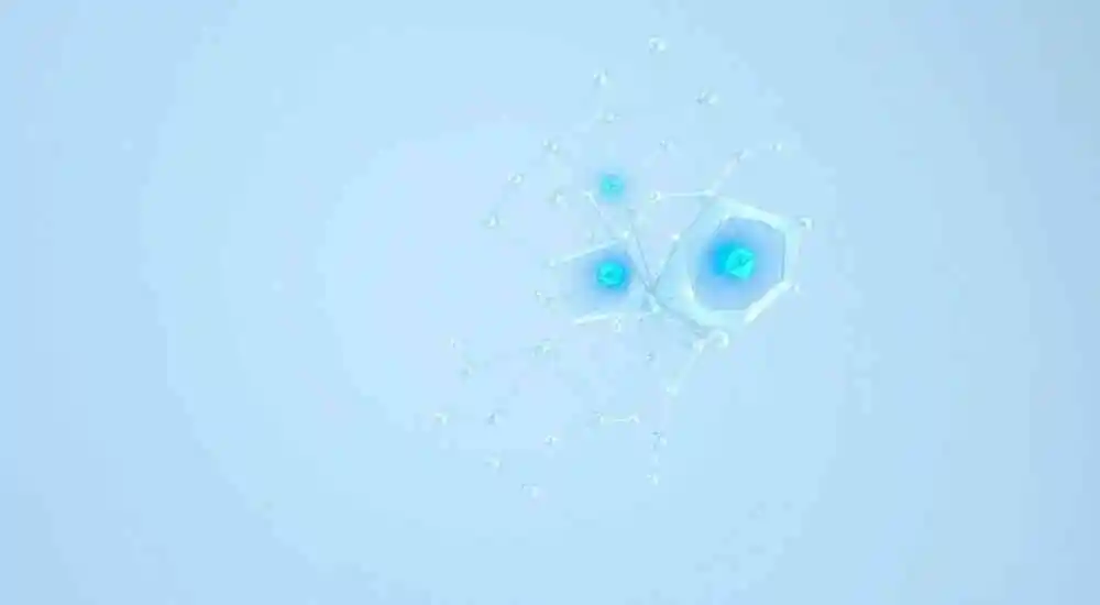 Pena-Shokeir syndrome type 2
