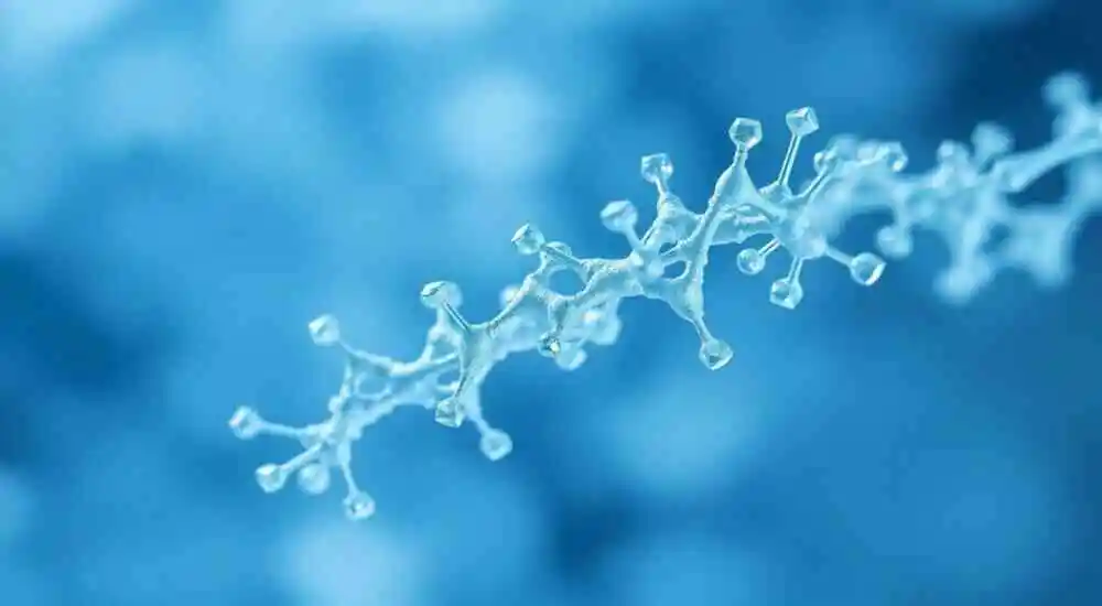 Deficiencia de N-acetilglutamato sintasa