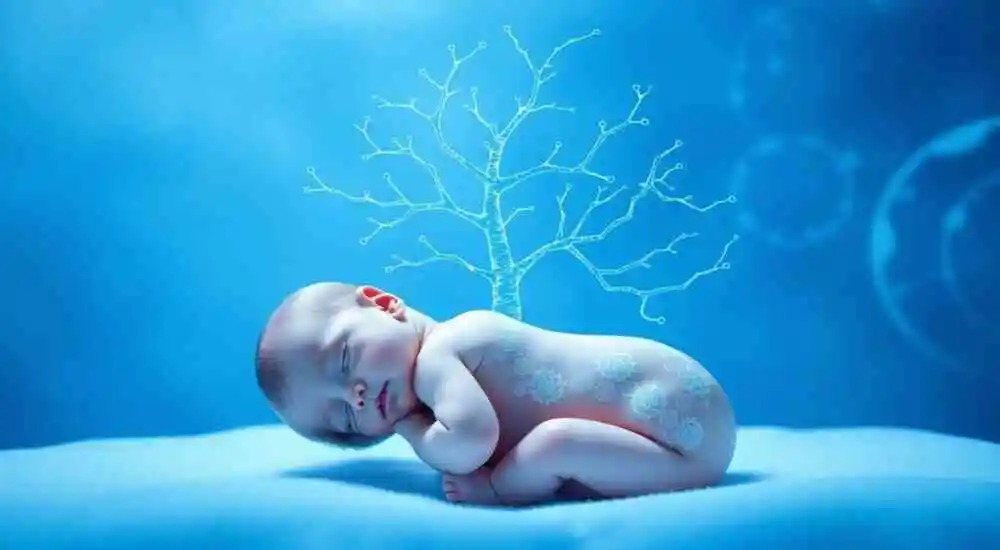 Inicio neonatal de enfermedad inflamatoria multisistémica