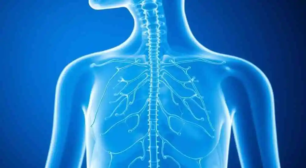 Neurohypophyseal diabetes insipidus