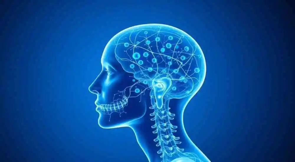 Neuromielitis óptica