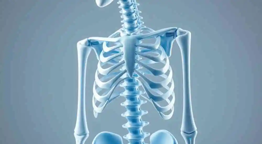 Muscle contracture Ehlers-Danlos syndrome (mcEDS)