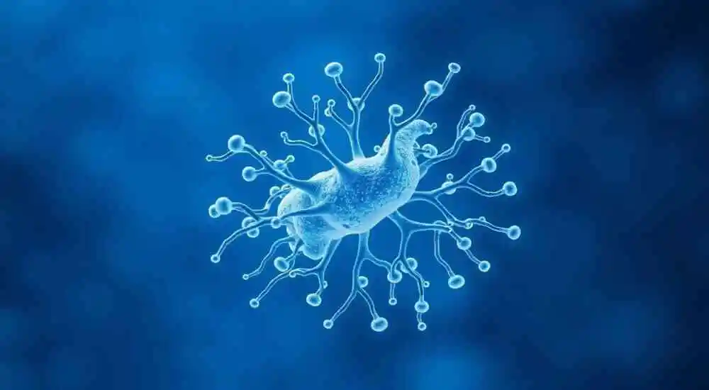 Mitochondrial complex 1 deficiency