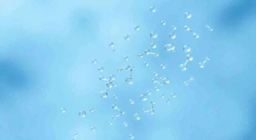 leucocitosis