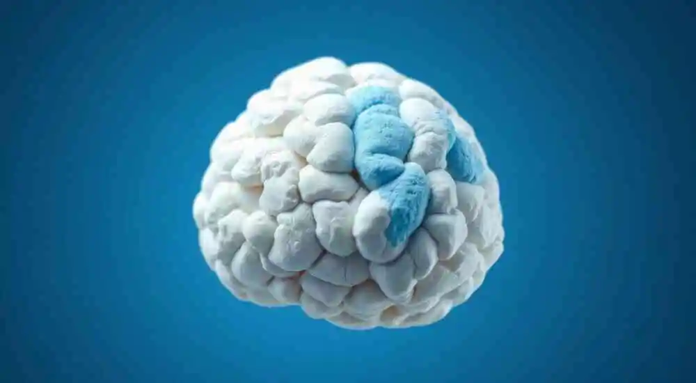 Tumor maligno de la vaina del nervio periférico