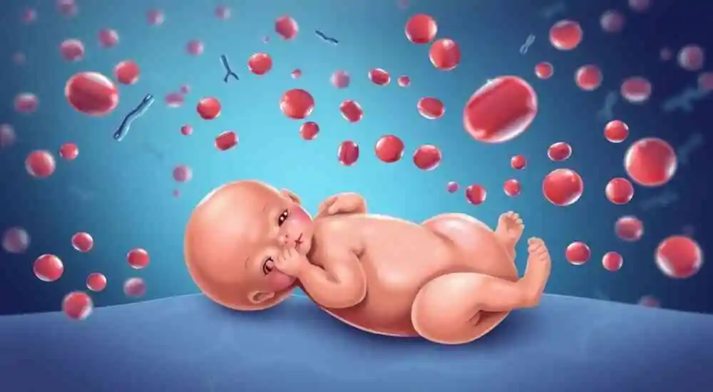 Trombocitopenia aloinmune del feto y del recién nacido