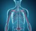 Fibrosing mediastinitis