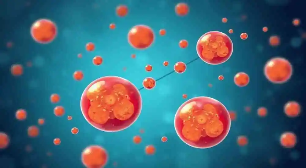 Hypolipoproteinemia