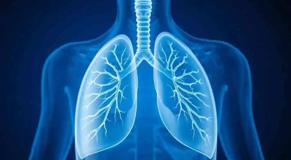 Metastases in the lungs