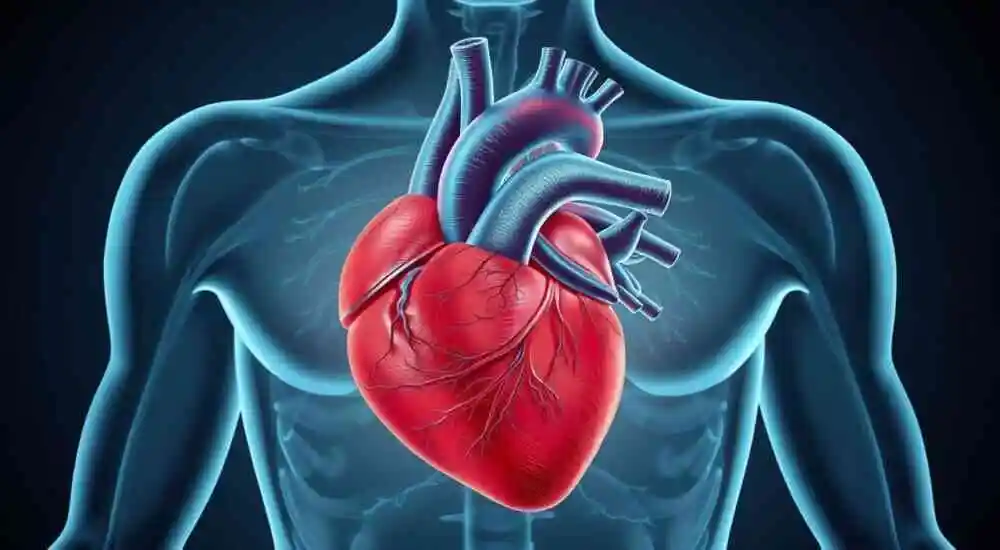 Miocardiopatía hipertrófica familiar