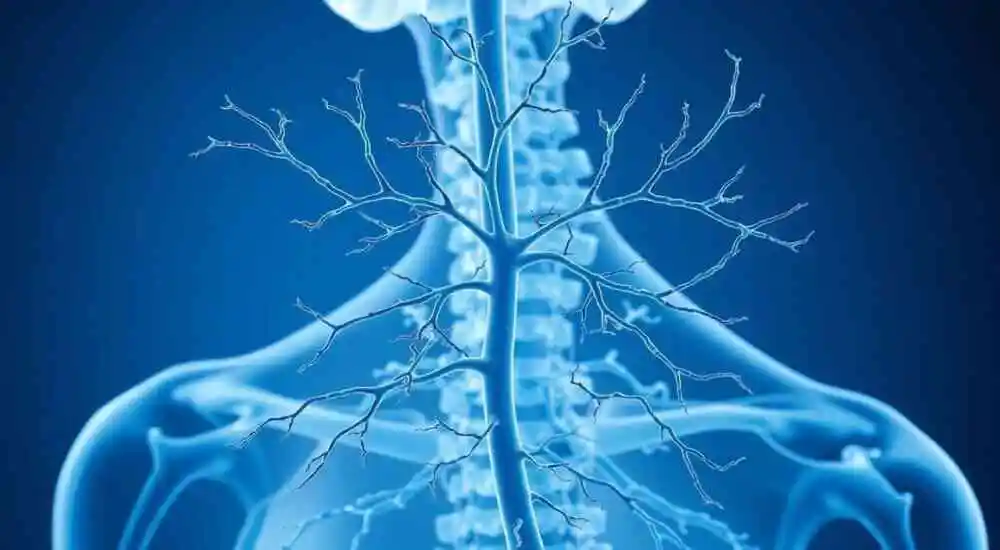 Klippel-Trenaunay syndrome