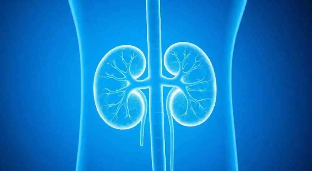 Lupus nephritis
