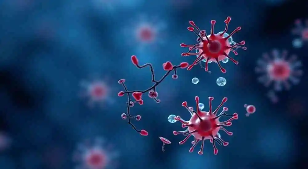 IgG4 related disease