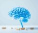 Vitamins for the brain in Alzheimer's: prevention and support